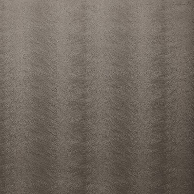 Stout TRIFECTA SHADOW