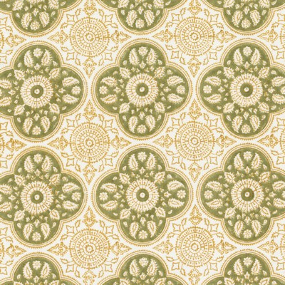 Stout TUCSON 2 AUTUMN