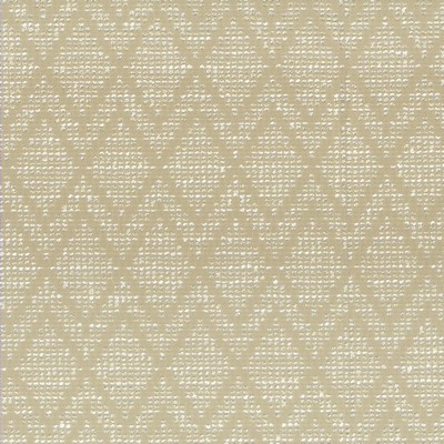 Stout ULTIMATE 1 BISCUIT