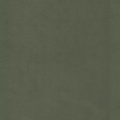 Stout UNIVERSITY 2 MOSS