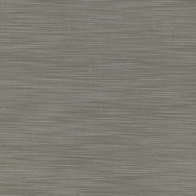 Stout UPDYKE 1 PEWTER