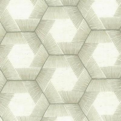 Stout URSULA MUSHROOM