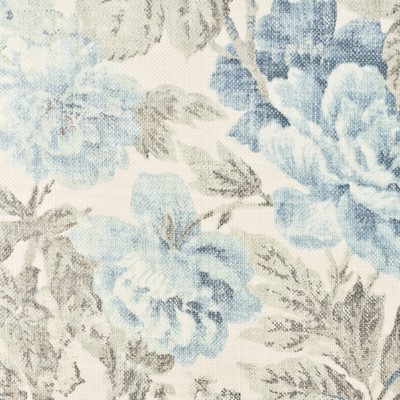 Stout VALENCIA 1 HAZE