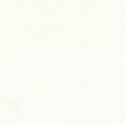 VANESSA 1 SHELL Stout VANESSA 1 SHELL