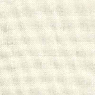 Stout VIGILANT OYSTER