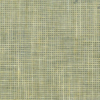 Stout VOCIFEROUS SHORELINE