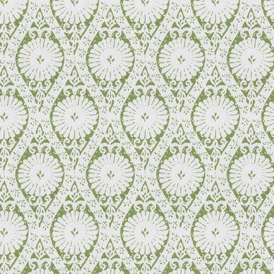 Stout WALCOTT 5 SEEDLING SEEDLING