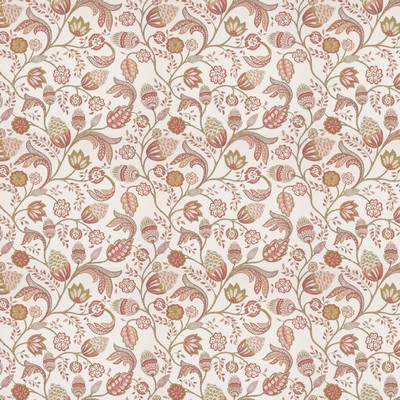 Stout WARWICK 6 SORBET SORBET