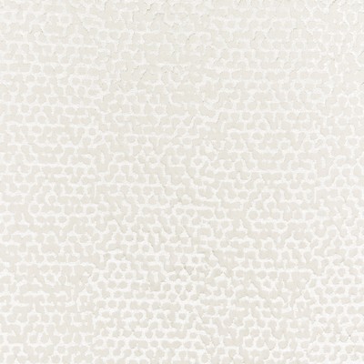 Stout WASOLA 1 PARCHMENT