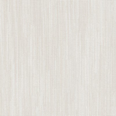 Stout WAYMART 1 CHAMPAGNE