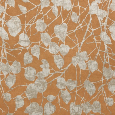 Stout WHITEHALL GINGERSNAP