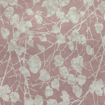 Stout WHITEHALL TEAROSE