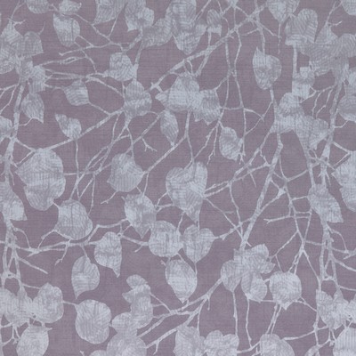 Stout WHITEHALL VINEYARD