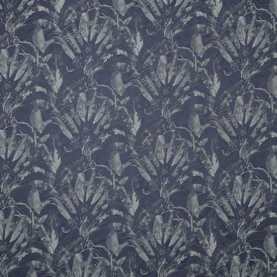 Stout WILAMUT SAPPHIRE