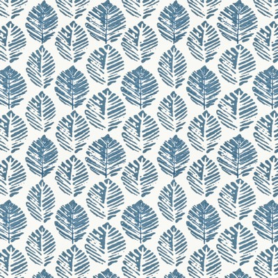 Stout WITMUS FEDERAL