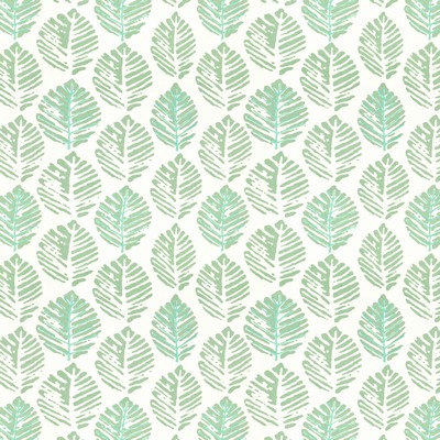 Stout WITMUS CARIBBEAN