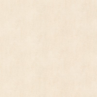 Stout ZIEMBA 2 OYSTER