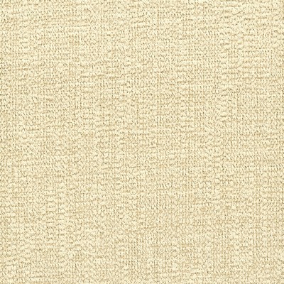 Stout ZOOM CHAMPAGNE