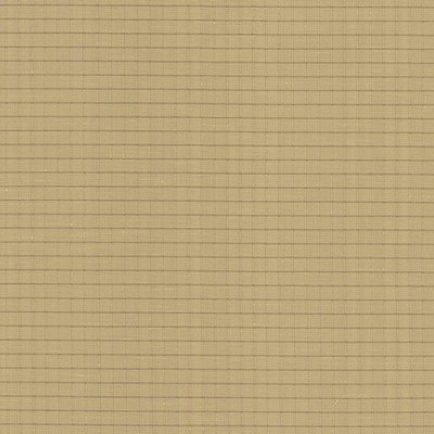 Kasmir ALDER            MUSTARD         