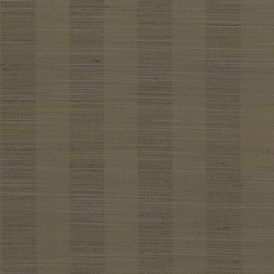 Kasmir ANANTARA STRIPE  LATTE           