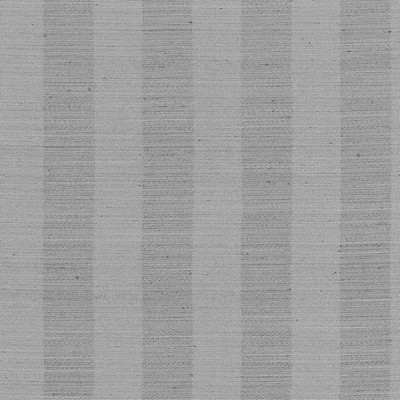 Kasmir ANANTARA STRIPE  PLATINUM        