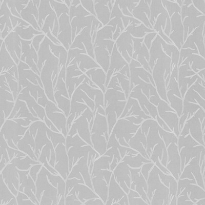 Kasmir AREZZO           SNOW            