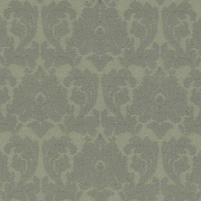 Kasmir ASTERIA          SPRUCE          