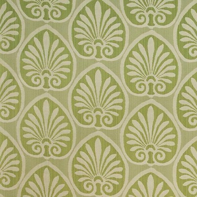 Kasmir ATHENIA SHELL    KEY LIME        