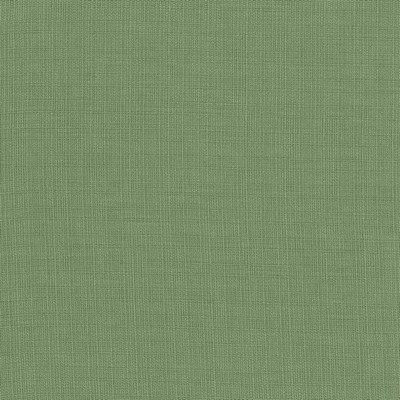 Kasmir AUBERGE          FERN            