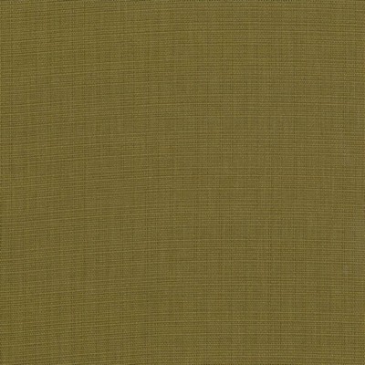 Kasmir AUBERGE          OLIVE           