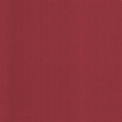 Kasmir AVENTURA         BEGONIA         