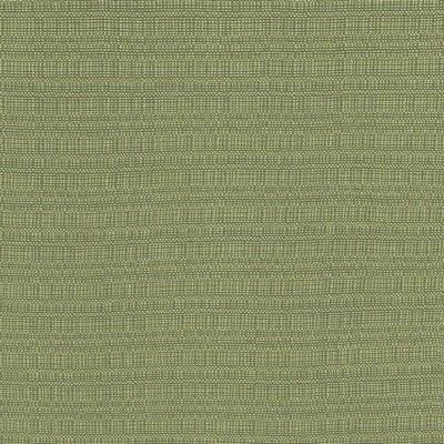 Kasmir AZIZA            IVY             