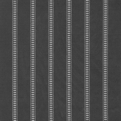 Kasmir BABBO STRIPE     DOMINO          