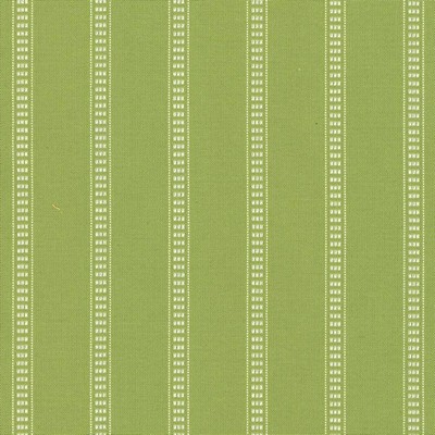 Kasmir BABBO STRIPE     PALM            