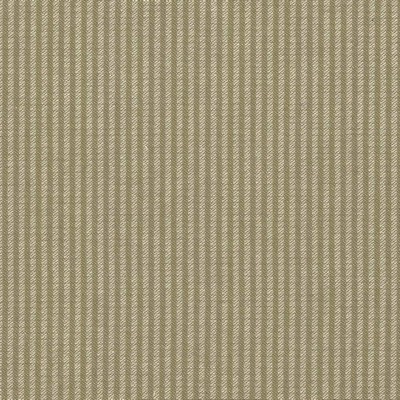 Kasmir BAHIA            PECAN           