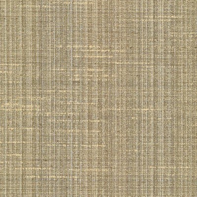 Kasmir BANSURI          CHINO           