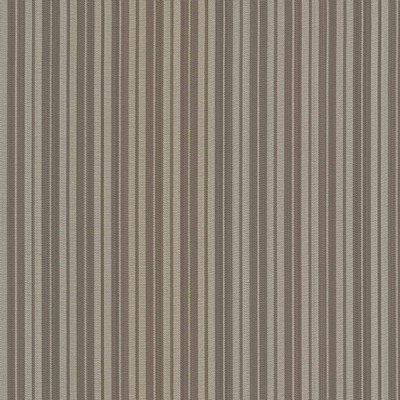 Kasmir BENITO STRIPE    SILVER          