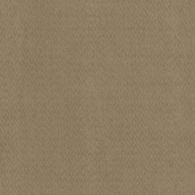 Kasmir BERWICK          COCOA           