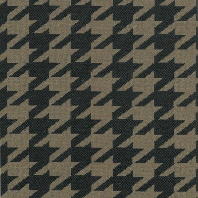 Kasmir BIG DOG          ONYX            