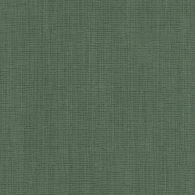 Kasmir BLURRED LINES    BASIL           