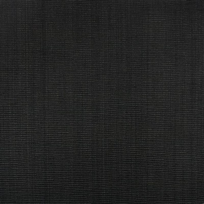 Kasmir BLURRED LINES    BLACK           