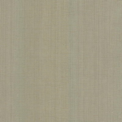 Kasmir BLURRED LINES    FLAX            