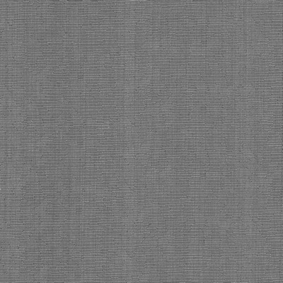 Kasmir BLURRED LINES    GRAY            