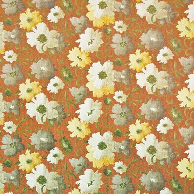 Kasmir BOLING BROOK     SIENNA          