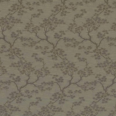 Kasmir BONSAI GARDEN    FLAX            