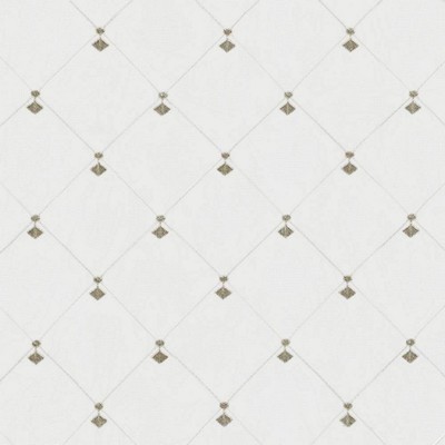 Kasmir BORDERLINE       SMOKE           