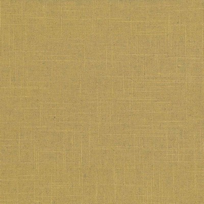 Kasmir BRIGADOON        CURRY           