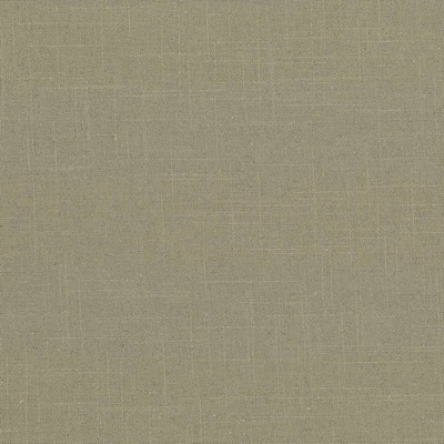 Kasmir BRIGADOON        MOREL           