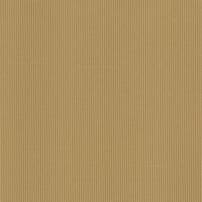 Kasmir BRIGHT LIGHTS    GOLD            