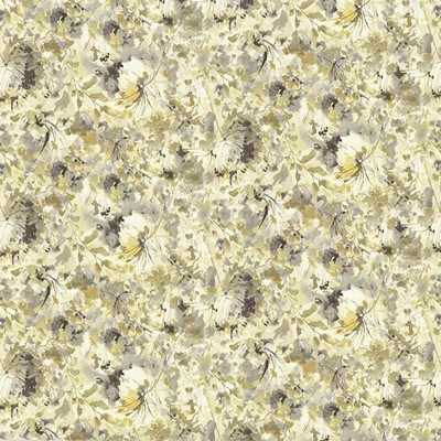 Kasmir BROOKSHIRE       GOLDMINE        